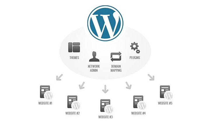 WordPress multisite allows plugins to be installed once for all websites